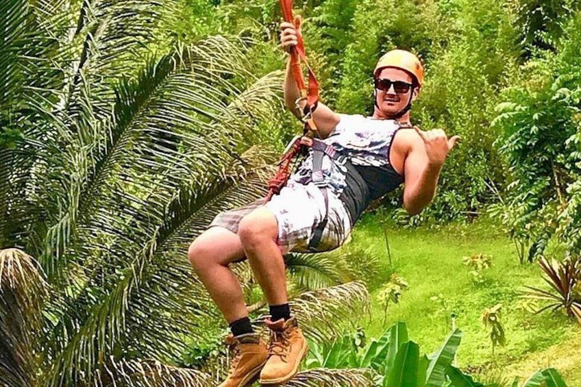 A person zip-lining through a lush green forest. 2