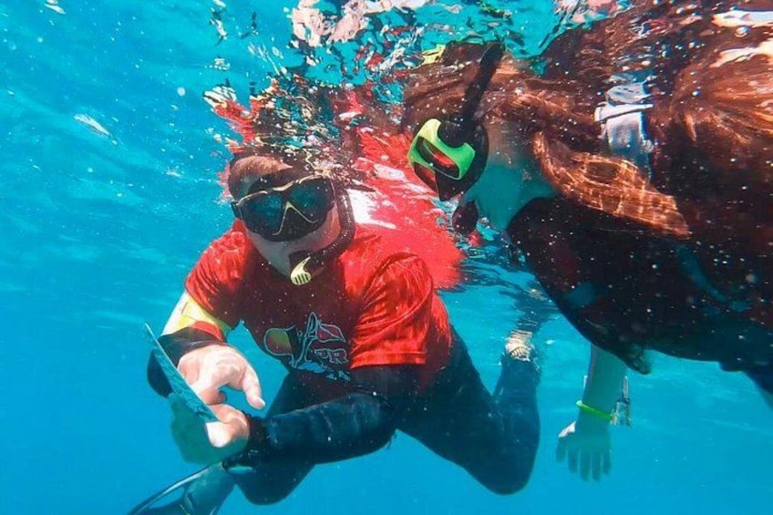 Two people scuba diving underwater. 3