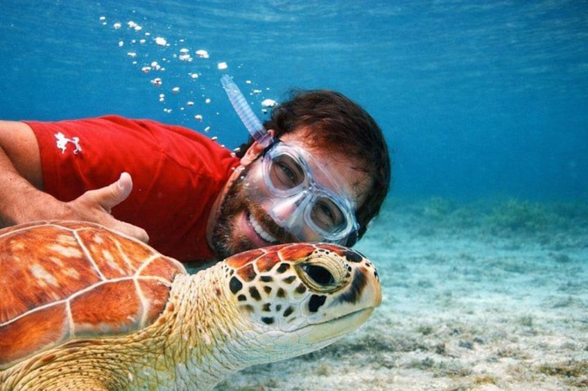 A person snorkeling with a sea turtle. 1