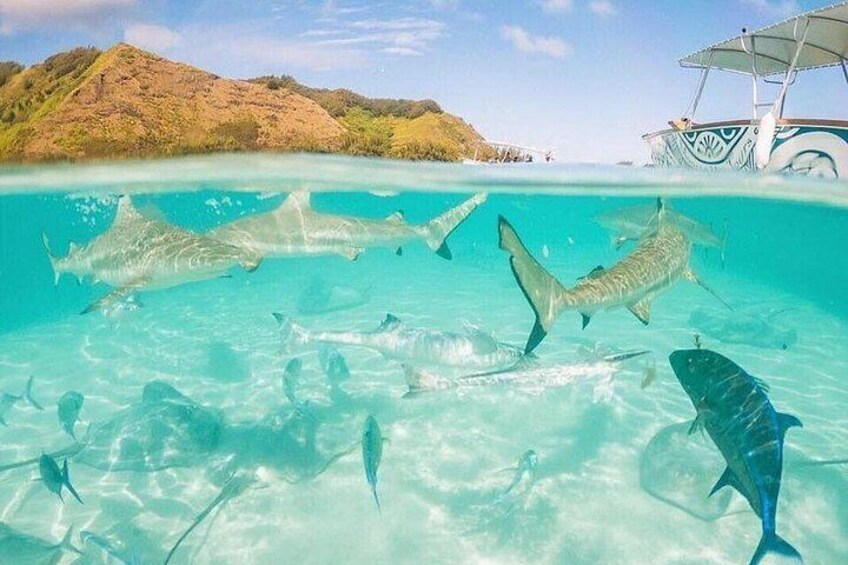Moorea 6-Hour Snorkeling and Lunch Shared Tour 2