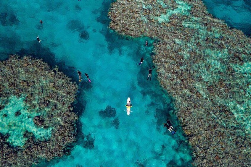 An aerial view of a coral reef with divers. 1