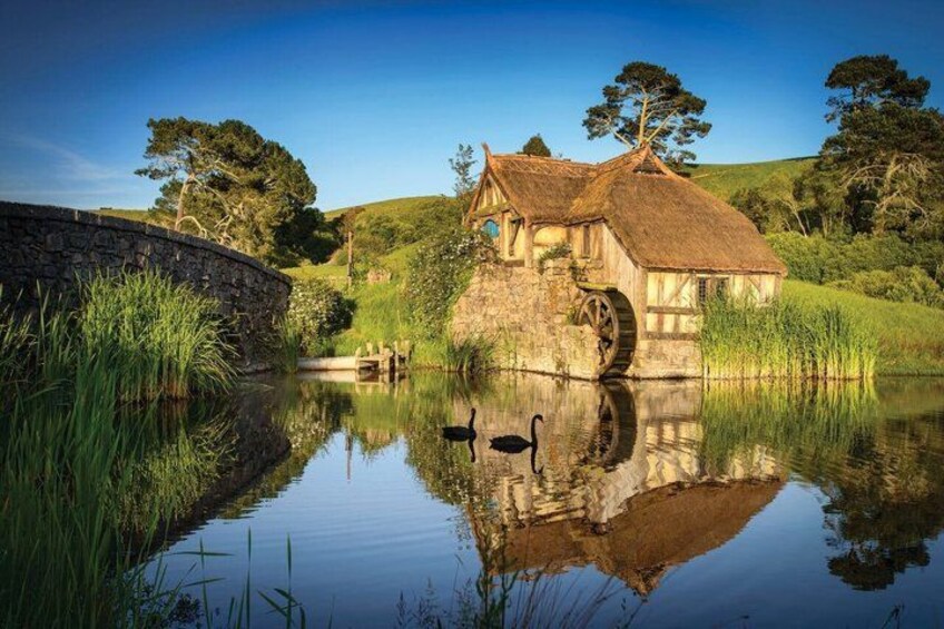 Hobbiton Movie set & Waitomo Caves Small Group Tour From Auckland 2