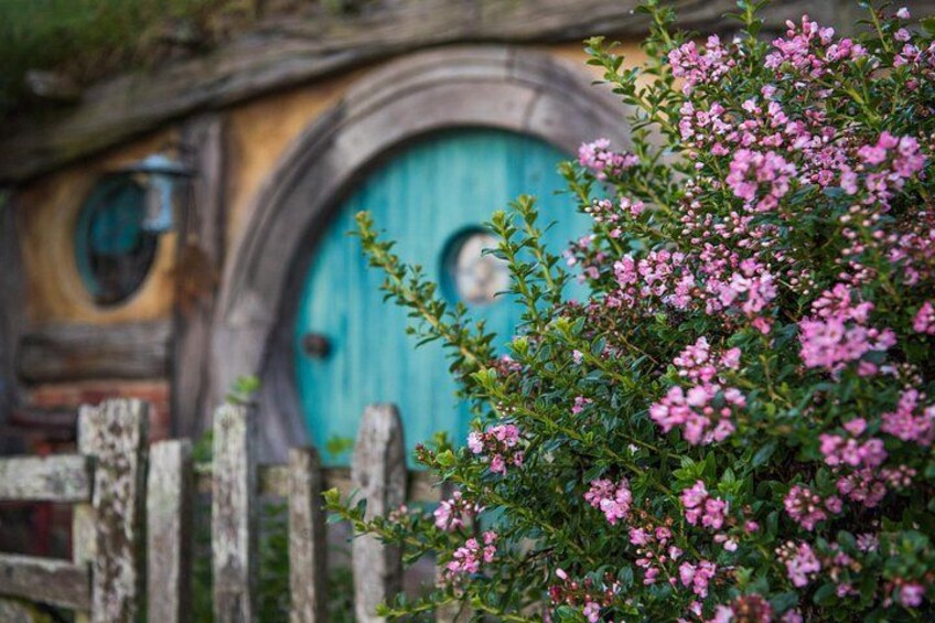 Hobbit Holes 1