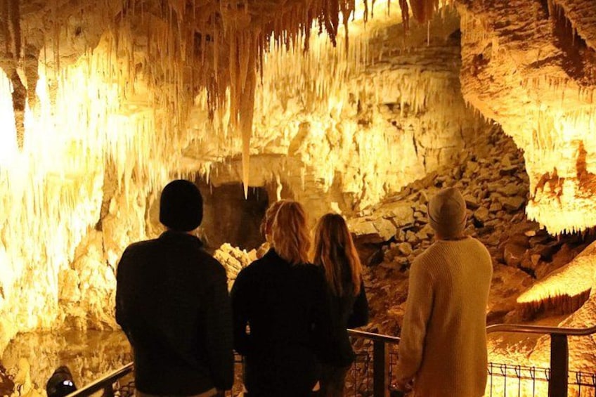 Hobbiton Movie set & Waitomo Caves Small Group Tour From Auckland 4