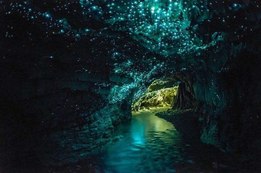 Hobbiton Movie set & Waitomo Caves Small Group Tour From Auckland 3