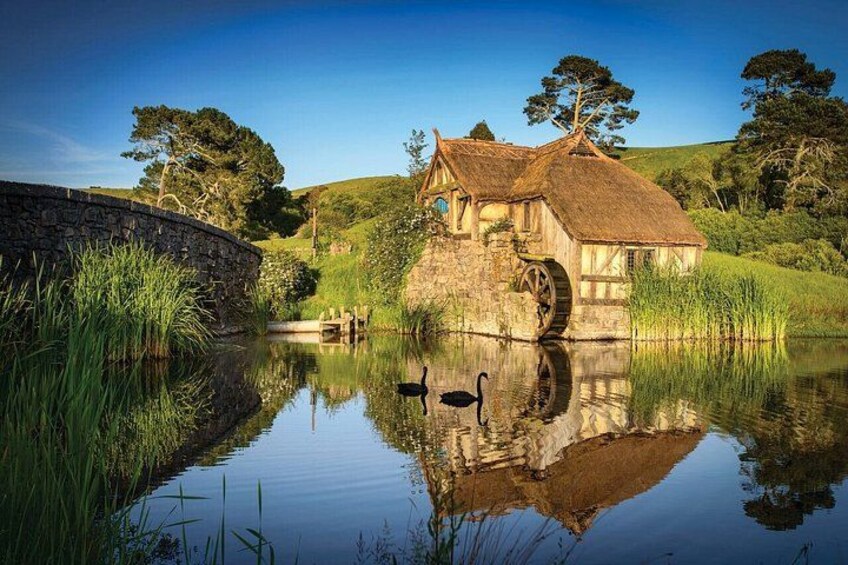 Hobbiton Movie set & Waitomo Caves Small Group Tour From Auckland 2