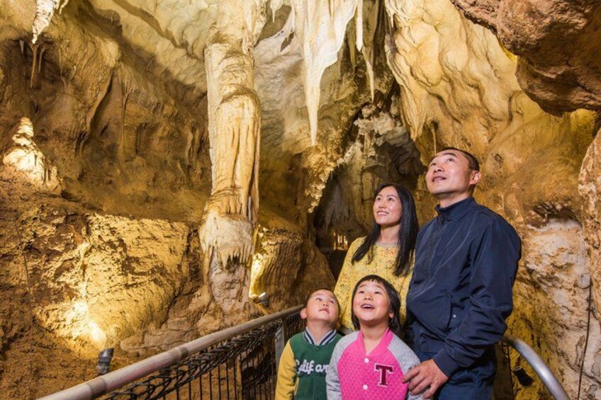 Hobbiton Movie set & Waitomo Caves Small Group Tour From Auckland 4