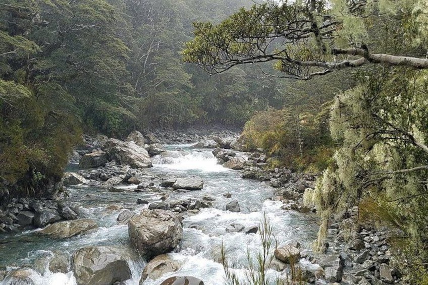 Arthur's Pass Discovery and TranzAlpine Train - Small Group Tour 2