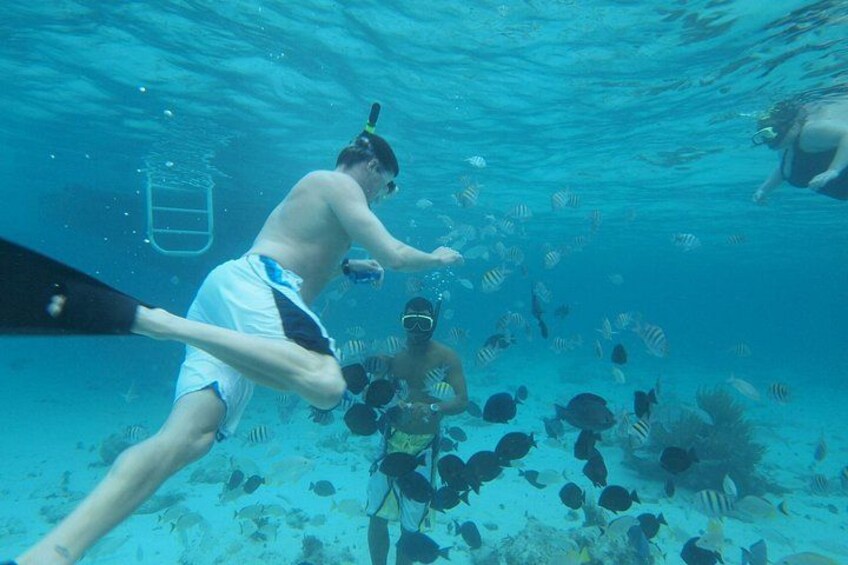 Una persona practica snorkel bajo el agua con peces. 2