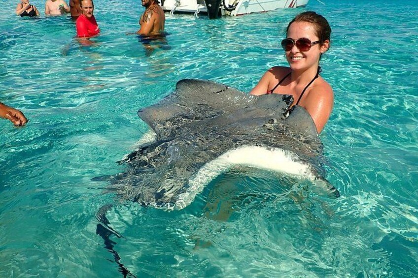 A friendly Stingray 2