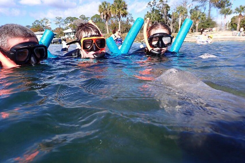 This curious manatee enjoyed playing peekaboo with these youngsters. 3