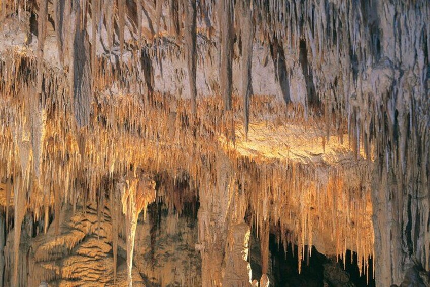 Mammoth Cave 4
