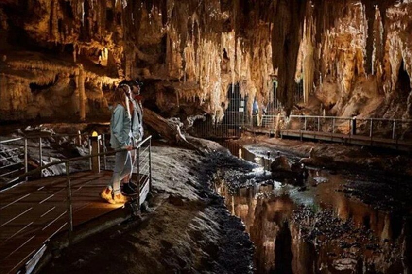 Mammoth Cave (Image: TWA) 2