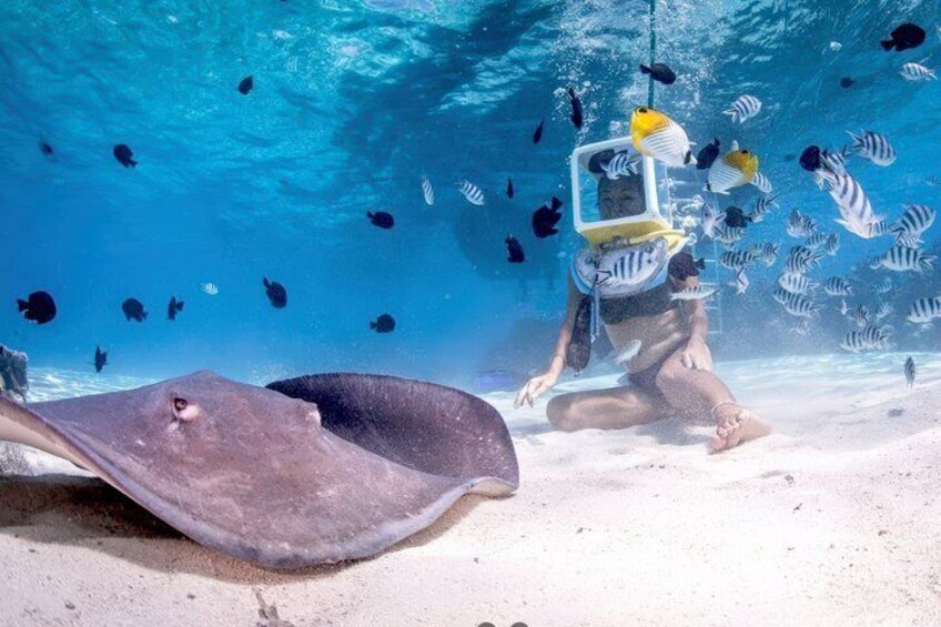 Helmet Diving Bora Bora – Underwater Walk with Aqua Safari 3