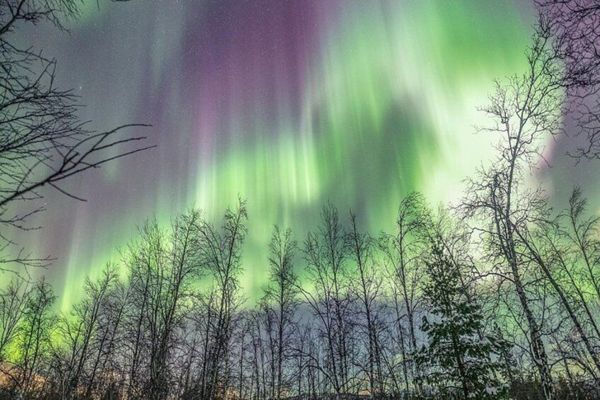 Perfect Northern Lights in Tromsø 3