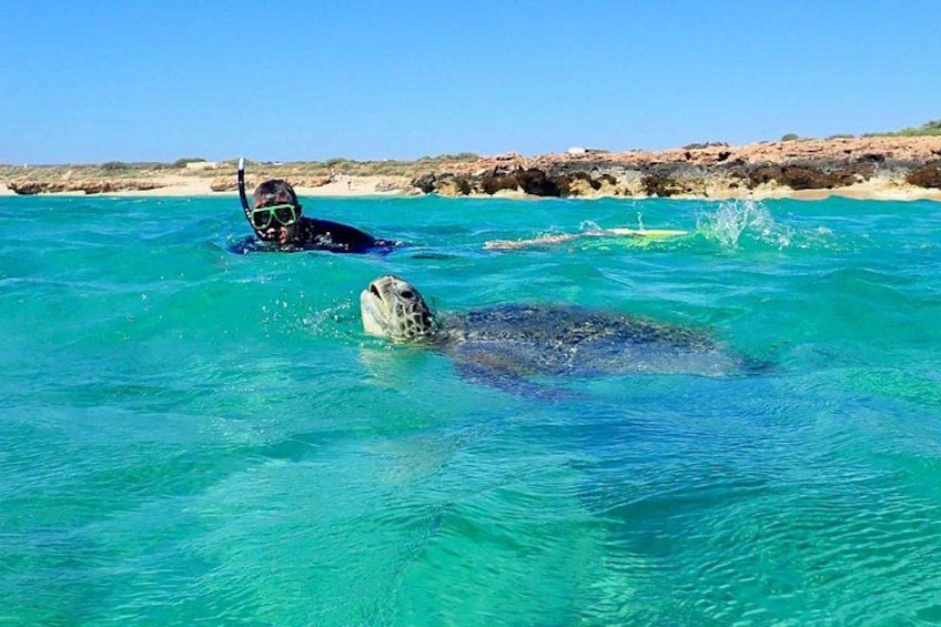 A person snorkeling with a sea turtle in clear blue water. 3