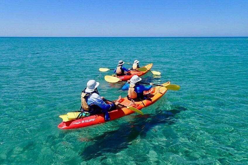 Turtle Tour - Ningaloo Reef Half Day Sea Kayak and Snorkel Tour 2