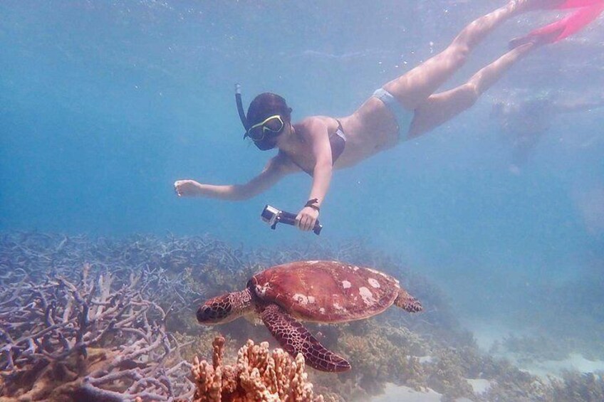 Turtle Tour - Ningaloo Reef Half Day Sea Kayak and Snorkel Tour 5