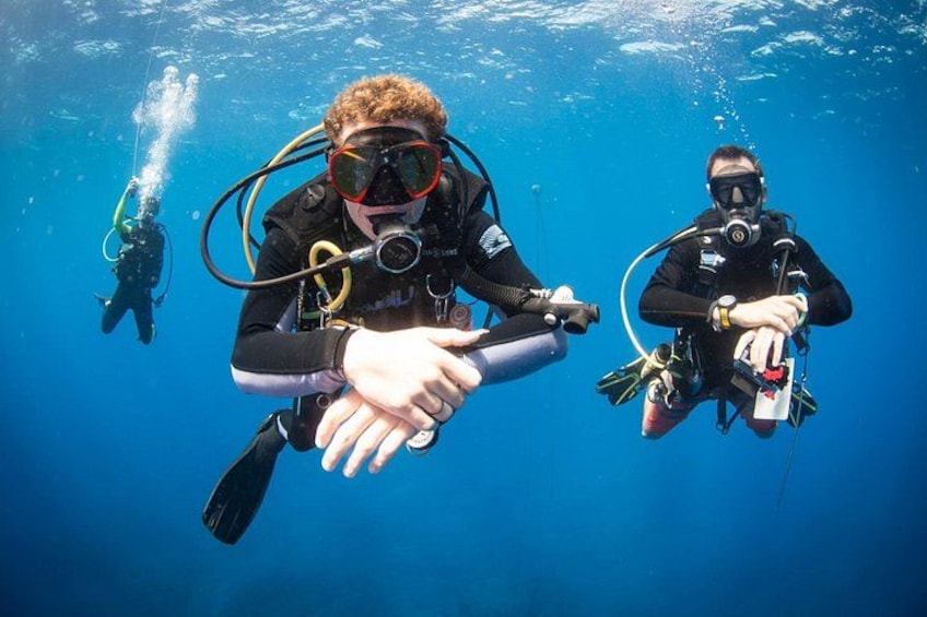Two scuba divers underwater, one in the foreground and one in the background, both wearing black wetsuits and diving gear. 1