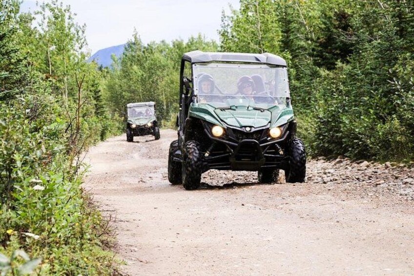 Side by Side ATV 3