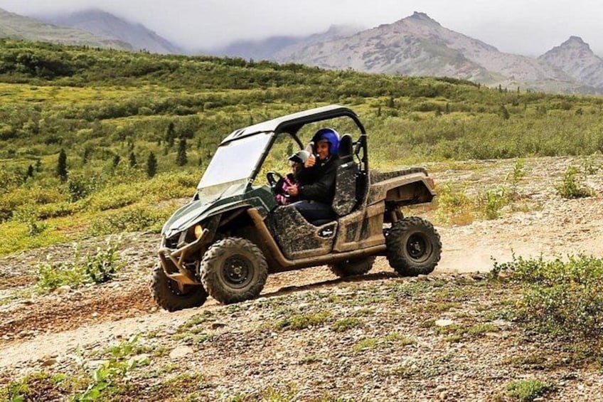 Denali ATV Trailblazer - Longest Guided ATV tour in Denali 4