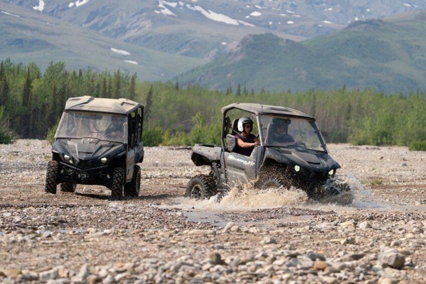 Denali ATV Trailblazer - Longest Guided ATV tour in Denali 3