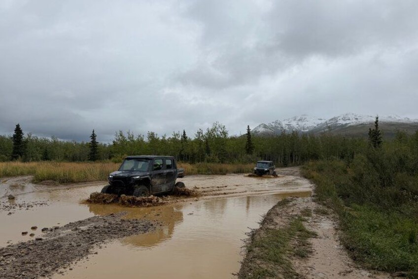 Denali ATV Trailblazer - Longest Guided ATV tour in Denali 5