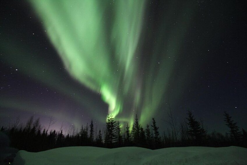 Aurora Viewing - Aurora Husky Lodge , Great view from top of the ridge 3