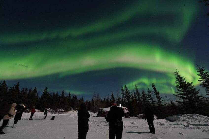 Aurora Viewing - Aurora Husky Lodge , Great view from top of the ridge 2