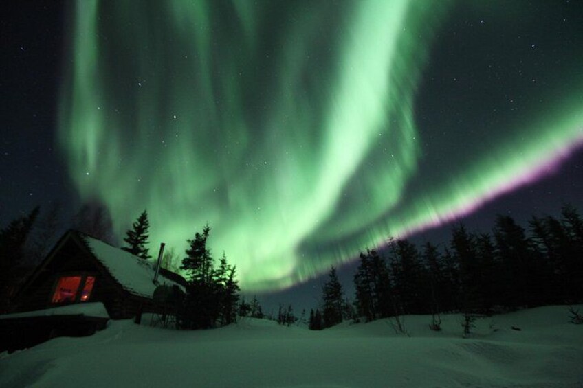 Aurora Viewing - Aurora Husky Lodge , Great view from top of the ridge 5