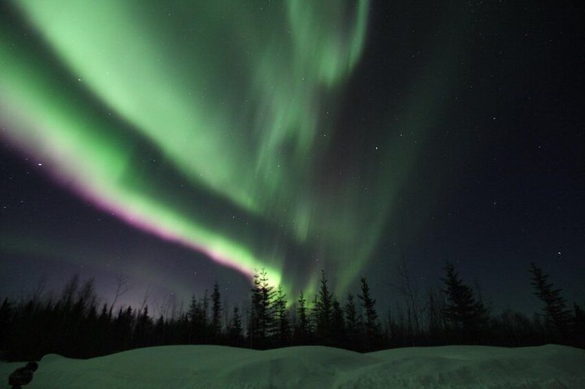 Aurora Viewing - Aurora Husky Lodge , Great view from top of the ridge 4