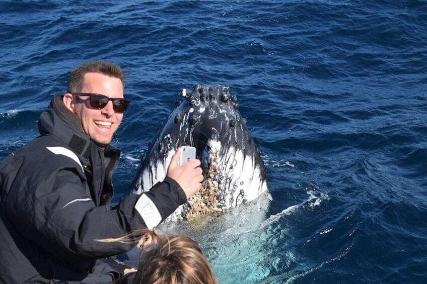 Up close Whale watching 2