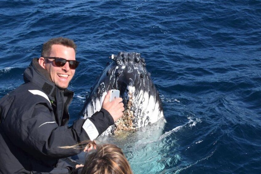 Une personne prend une photo d’une baleine dans l’océan. 2
