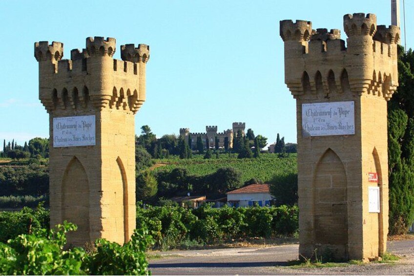 Châteauneuf du Pape Wine Day Tasting Tour including Lunch from Avignon 1