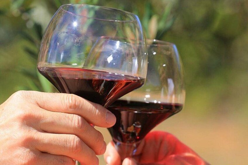 Châteauneuf du Pape Wine Day Tasting Tour including Lunch from Avignon 4