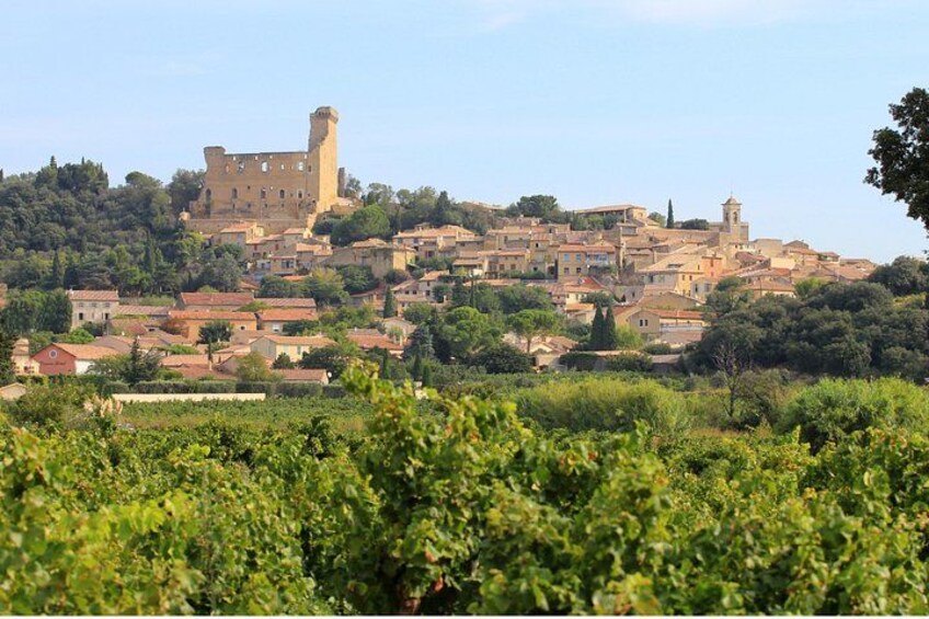 Châteauneuf du Pape Wine Day Tasting Tour including Lunch from Avignon 2