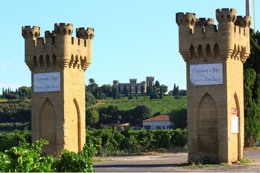 Châteauneuf du Pape Wine Day Tasting Tour including Lunch from Avignon 1