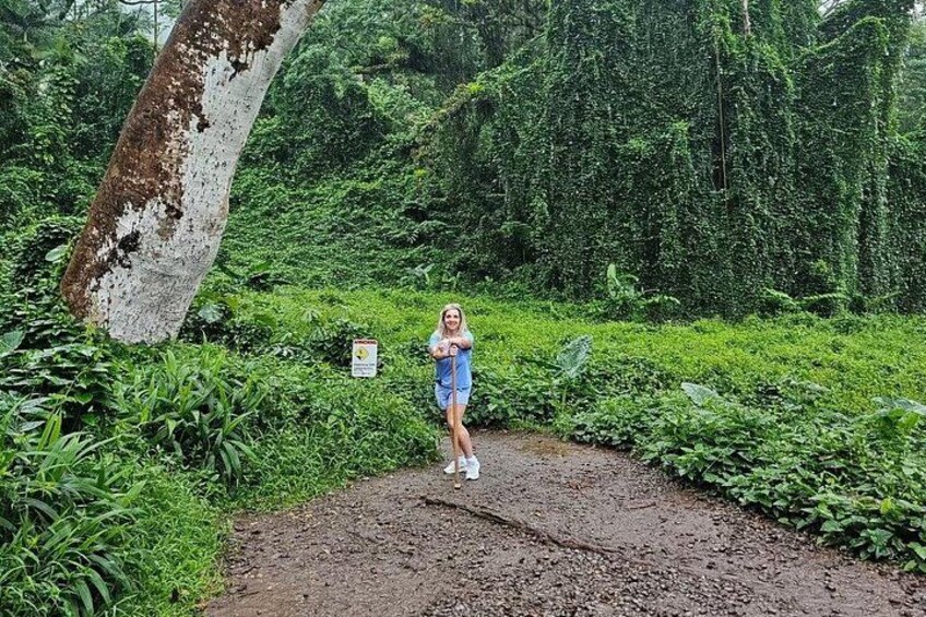 Oahu: Manoa Falls Rainforest Self-Guided Hike 5