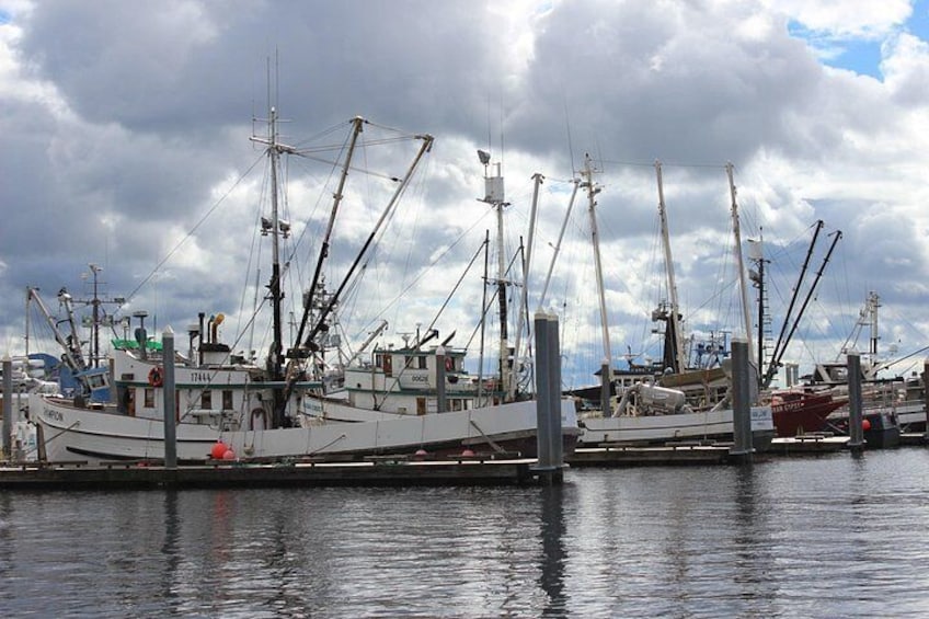 Fishing boats in marina 2