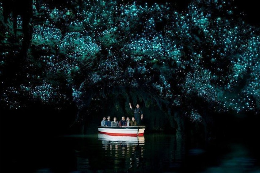 Waitomo Glowworm Caves Guided Tour 1