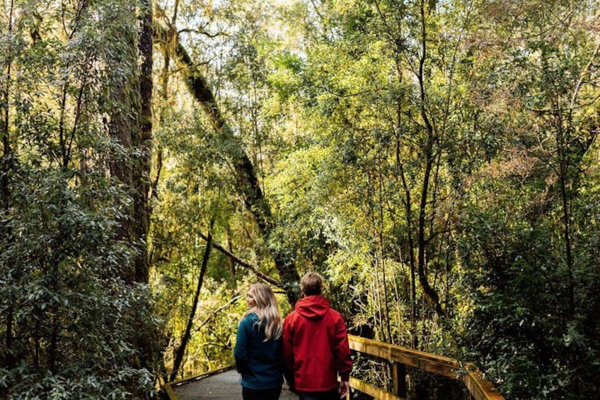 Two people walking on a wooden bridge surrounded by dense forest. 3