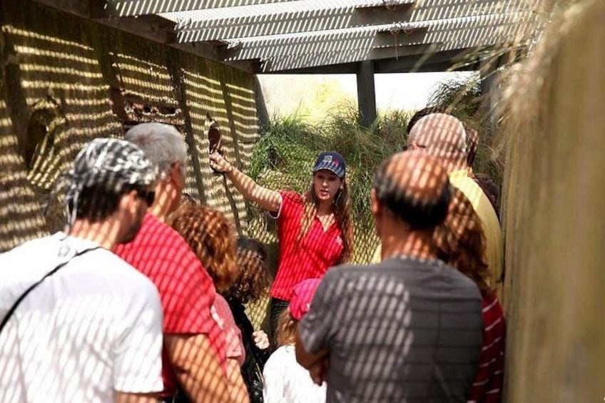 A group of people gathered around a person in a red shirt, possibly giving a tour or presentation. 2