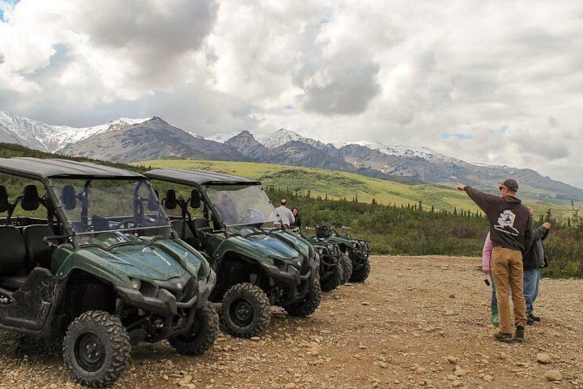 2.5-Hour Denali Wilderness ATV Adventure Tour 2