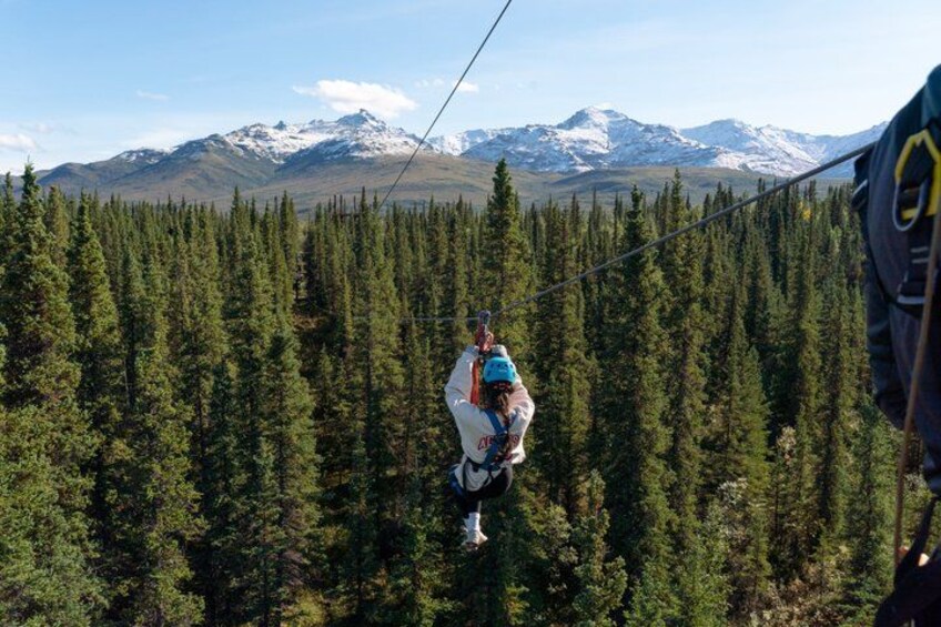 Denali Park Zipline Adventure: Denali's Highest Rated Zip Tour! 1