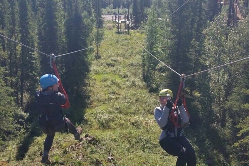 Denali Park Zipline Adventure 2