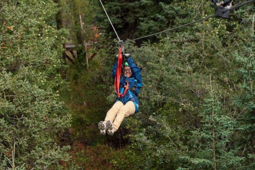 Denali Park Zipline Adventure 5