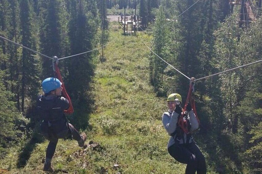 Denali Park Zipline Adventure 2