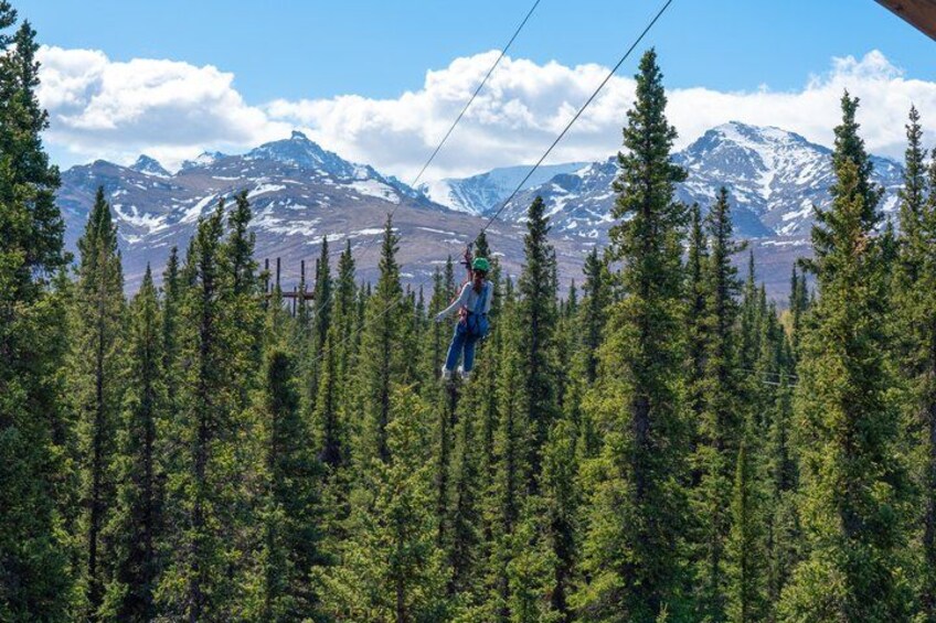 Denali Park Zipline Adventure 2
