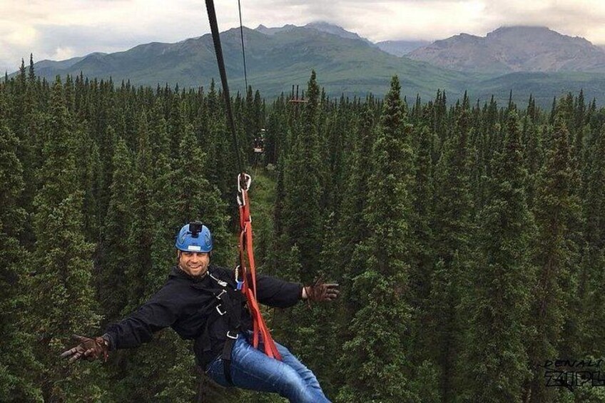 Denali Park Zipline Adventure 3