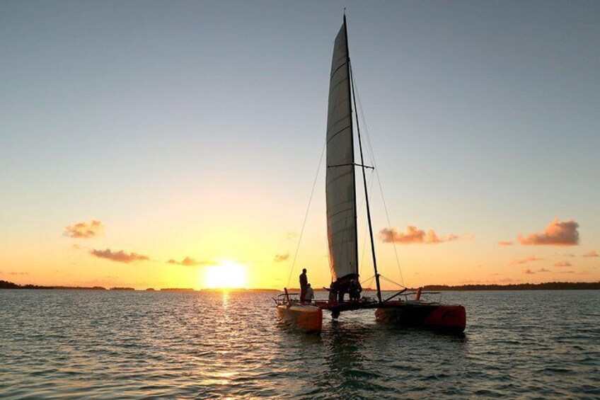 Vitamin Sea Sunset